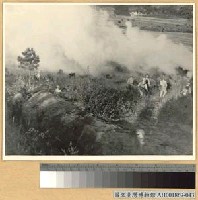 藏品(湘北大捷：我軍越出新牆河進攻)的圖片